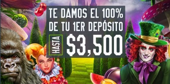 Codere Bonus Bienvenida